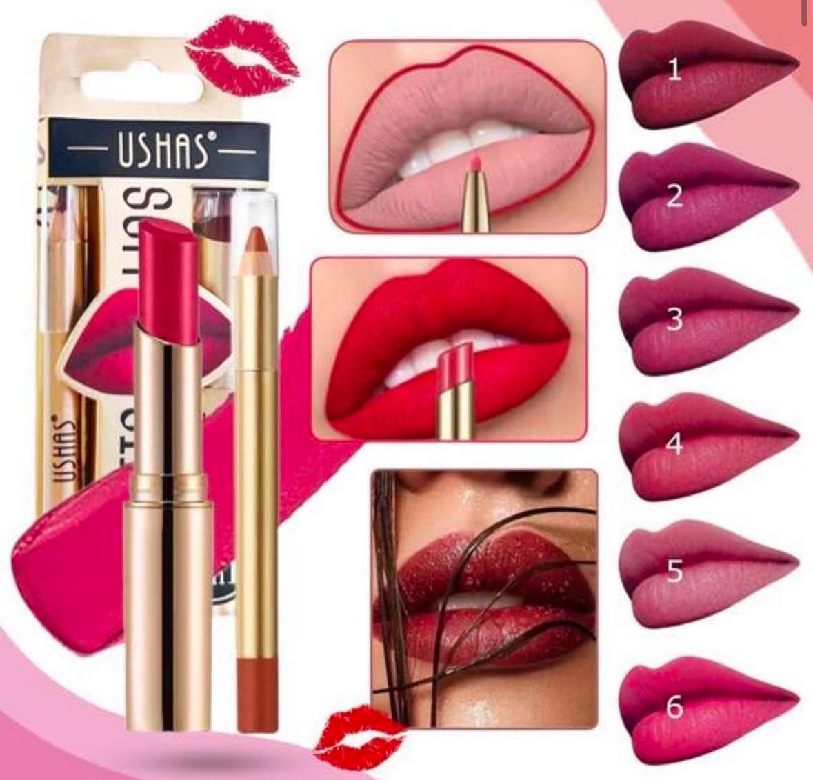 Labial Liquido Con Delineador USHAS CS424A